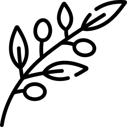 Cire d'olive